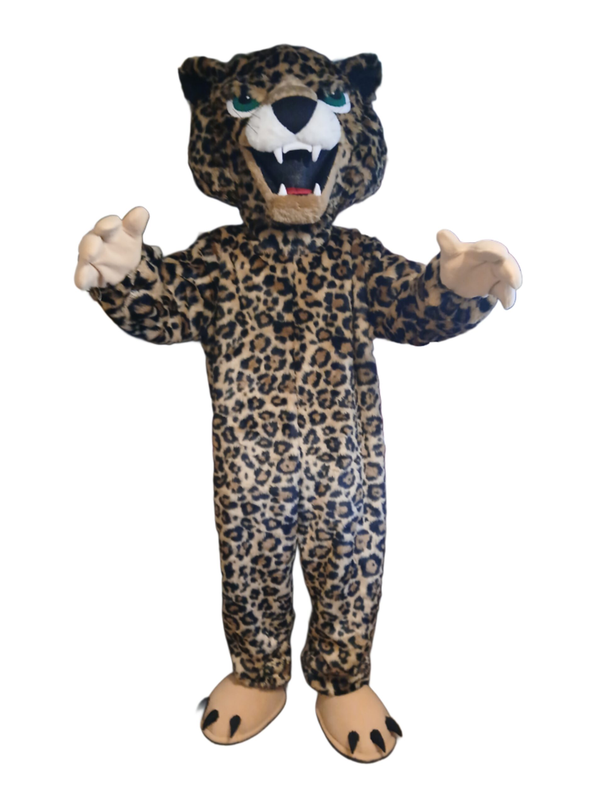 Jaguar mascot created for Middleton Street School