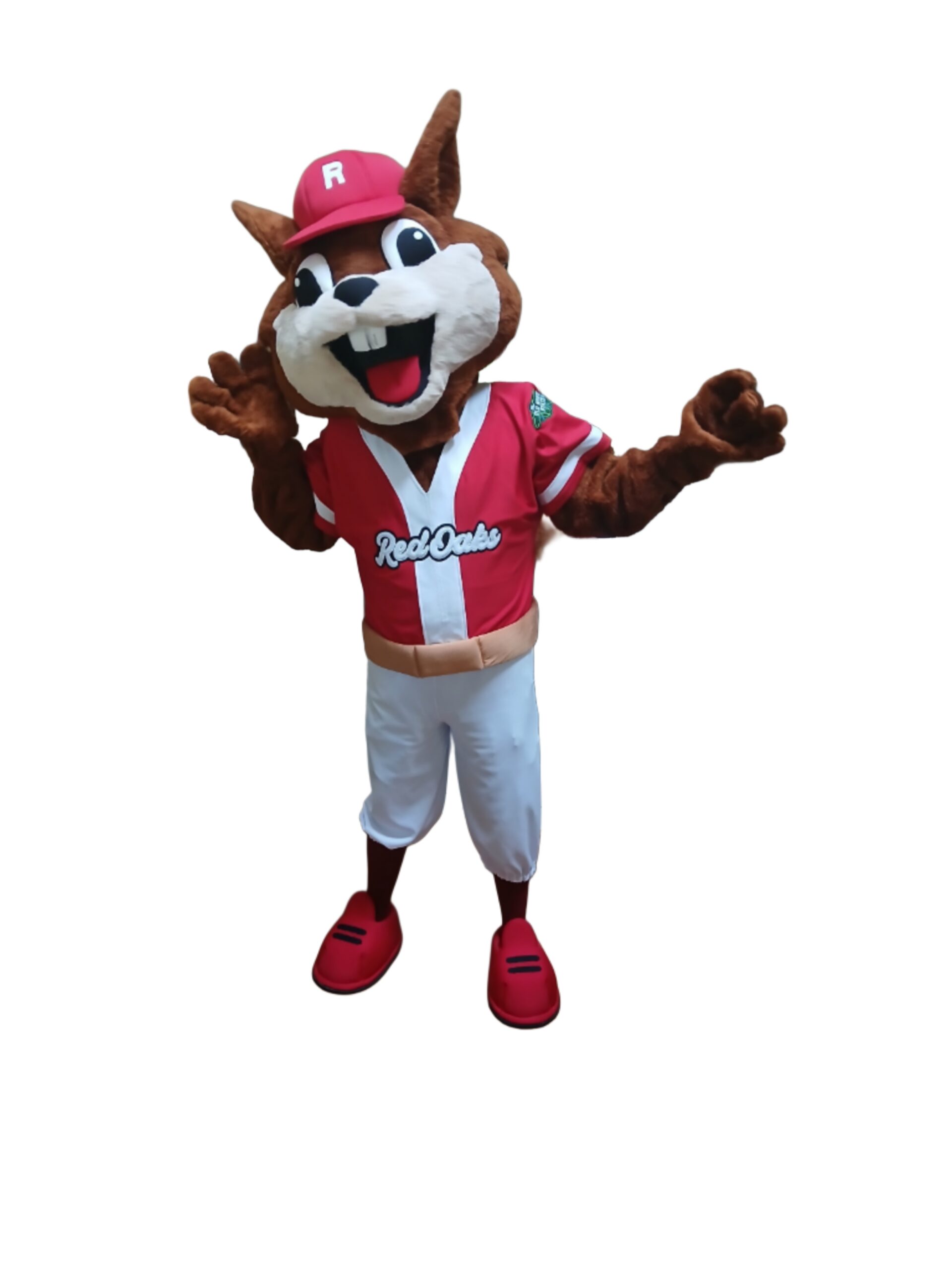 Finished Raleigh Red Oaks mascot ready to perform
