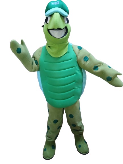 Custom green turtle mascot